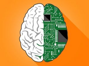 hersenen technologie AI 300x223 - Moeten wij bang zijn voor kunstmatige intelligentie die slimmer is dan ons?